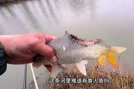 雷雨天别钓鱼，安全第一。#龙王恨X5轻量综合二代 #蓝鲫青春版
