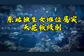 穷养儿富养女，东北独生女地位属实天花板级别。#东北 #哈尔滨视频封面