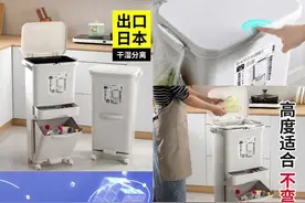 厨房垃圾桶家用厨余分类带盖大容量高款干湿分离脚踩脚踏式大号