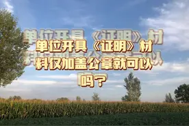 单位开具《证明》材料仅加盖公章可以吗？#起诉 #证据 #法律咨询视频封面