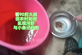 土虾怎样抓，今天去提笼被围观了😂#创作灵感 #捞虾也是技术活