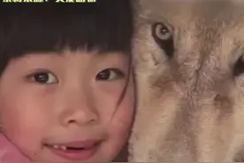 宝宝，你确定要给小狼崽讲小红帽的故事吗#狼 #动物 #共情 #万物皆有灵视频封面