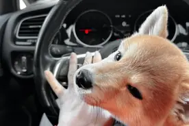 哇草！太牛逼啦！🙈视频封面