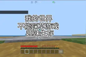 第11集｜我的世界：我的世界不能踩草游戏