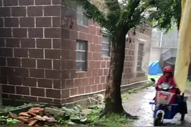 爷爷以前不管下多大雨也会去学校接我放假 我躲在雨衣里面害怕雨淋湿爷爷 爷爷不舍得给自己换一件好的衣服每次都是把最好的留给我 爷爷很担心我 在他眼里我永远都是一个小孩视频封面