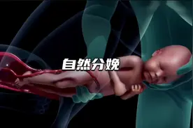 分娩是一个痛苦而伟大的过程，下面用3D模式带您了解 #分娩 #科普