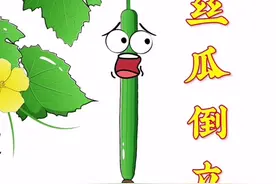 丝瓜畸形影响卖相怎么办？ #科普 #内容启发搜索 #奇妙知识在抖音 #三农流量扶持计划 #乡村守护人