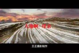 我走过你走过的路，这算不算相逢，我还是那么爱你……视频封面