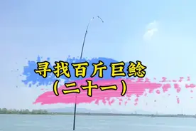 江钓鲶鱼 #迎着三月的阳光去钓鱼 #龙哥臭鱼 #臭鱼钓鲶鱼 #中逵钓鱼王30周年正青春 #中逵远投M13 @中逵创始人视频封面