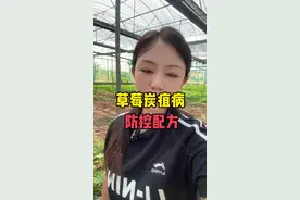 草莓炭疽病，防控方法#草莓种植管理技术和方法 #服务三农支持三农 #dou来一起种草莓 #草莓采摘园 #种草莓
