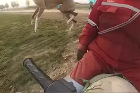 男子骑摩托车训练狗狗跑步，狗狗从车上弹射起步 飞奔而去，这就是传说中的“瘦成闪电”#快看趣闻视频封面