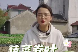 蔬菜卷叶应该怎么办？ #种植小技巧 #种菜 #我的小菜园 #自己种的纯天然的绿色蔬菜 #关注我一起学种菜视频封面