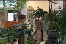 为什么有些人一整天可以呆在家里不出门，因为我所有喜欢的东西都在家里，而且我讨厌绝大多数人类，这世界但凡有人群聚集的地方，所讨论话题无外乎三个，拐弯抹角的炫耀自己，添油加醋贬低别人，相互窥探的搬弄是非，所以出去干嘛呢，一个人走着觉的不自然，一群人一起又绝的厌烦，独处多好啊，不会被人情世故所裹挟，更不会被礼尚往来所绑架.不要去应付各种口事心非虚情假意，更不会逼迫自己和两面三刀的人相互追捧，说实话要不是为了上班挣钱我可以一年不出门#情感 #情感语录❤ #茶人茶事茶生活 #独处 #上热门视频封面