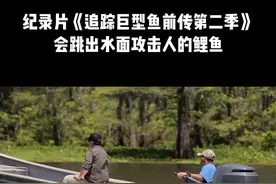 会跳出水面的亚洲鲤鱼，犹如炮弹一般，一旦被砸中了后果不堪设想。 #原来钓鱼才是抖音运动顶流 #钓鱼 #纪录片 #纪录片充电计划 #纪录片推荐