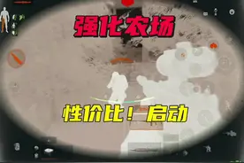 性价比超高的搭配#暗区突围