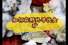野外如何寻找金矿！#寻宝之路历尽艰辛 #地质勘探 #金矿 #探秘 #户外自然探险发现视频封面