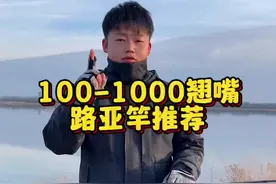 100-1000翘嘴路亚竿推荐 #路亚新手入门教程 #户外垂钓 #翘嘴 #路亚竿 #远投