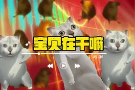 宝贝在干嘛，嗯啊～在吗～睡了吗？#猫头#宝贝在干嘛