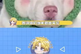 你们当年退出文坛我是极力反对的。#评论区  #搞笑
