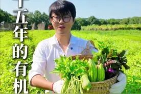 打拼了十五年的有机农场，我们让理想中的回村生活照进了现实，你要来看看吗？#有机农场 #新农人 #有机蔬菜种植视频封面