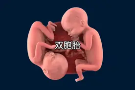 3d动画颜色双胞胎是如何形成的 #生命诞生的过程 #胎儿发育全过程