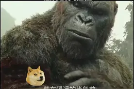 恐怖的大猩猩出现了#白天刷不到晚上逃不掉系列 #胆小慎看 #恐怖视频封面