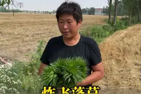 你们吃过炸的飞蓬草吗？妈妈今天做的炸飞蓬草，外酥里嫩，焦香酥脆，不光好看还特别的好吃，爸爸说不好吃，妈妈说特别的好吃。#农村美食 #记录真实生活 #农村生活 #新农人计划2025 #抖音美食推荐官 @DOU+小助手