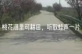 过春风十里尽荠麦青青视频封面