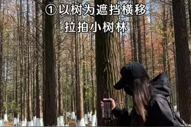 教你简单四步拍秋冬的小树林 #手机摄影 #小树林 #红杉树 #拍摄技巧 #治愈系风景