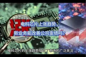电科芯片上涨趋势，新业务能改善公司业绩吗？#财经 #股民 #股票视频封面