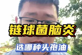 链球菌性脑炎，选哪种头孢油？ 三代头孢，四代头孢什么区别？#养猪 #养猪人加油干 #养猪人 #养猪人不容易 #养猪技术视频封面