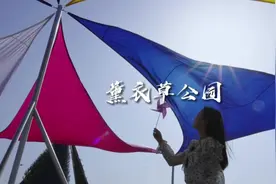 薰衣草公园，现在早鸟票68，很值得打卡哦#心动五一视频封面