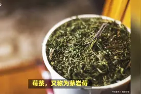 莓茶的功效与作用