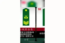 1分钟带你了解，解放军军衔等级，肩章及军种职务#军衔等级 #解放军 #当兵的历史 #军事知识视频封面