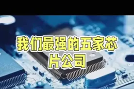 中国最强的五家芯片公司 #中国企业 #龙头企业 #科技创新 #半导体 #中国科技崛起