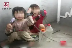 得势狸猫凶老虎，落魄凤凰不如鸡#上热门视频封面