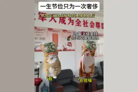 一生节俭只为一次奢侈 #猫meme小剧场 #真实故事 #马旭夫妇 #感动中国 #正能量视频封面