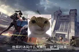 省流：来自机甲破产豪猪的极限翻盘  #和平精英地铁逃生