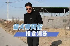 如何训练狗狗不捡地上吃的#狗狗训练技巧 #如何训练小狗 #马犬幼犬 #训犬教程 #训犬学校视频封面