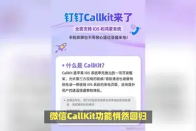 微信CallKit功能悄然回归