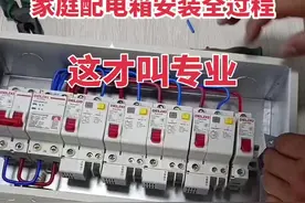 #零基础学电工 #灯开关接线方法 #电工知识 #电工 #家装水电视频封面