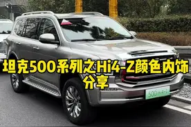 坦克500Hi4-Z的各种颜色版本，你喜欢哪个呢？ #坦克500 #坦克500hi4z到底有多强