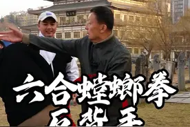 六合螳螂拳 巧打反背侧面攻，出手闪电独一家#六合螳螂拳 #内家拳 #一招制敌 #螳螂拳 #传武 @刘洋直播号视频封面
