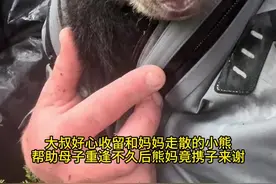 大叔好心收留和妈妈走散的小熊，帮助母子团聚，不久熊妈竟携子登门答谢恩人#神奇动物在抖音 #小动物们能有多治愈 #熊 #动物也有爱视频封面