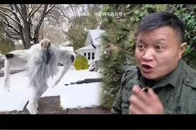 晚上在山上最恐怖的声音你听过几种？#农村生活 #户外 #鸟叫声大全 #果子狸#兔子