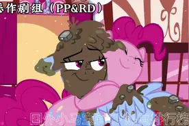 国外小马宝莉cp热度排行榜#小马宝莉 #MLP小马宝莉#cp