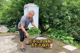 吃不完的辣椒该怎么保存，这个方法我也是网上学的，这次试一试视频封面