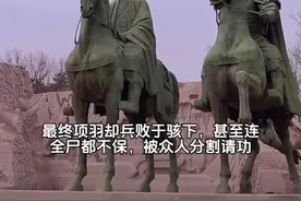 最终项羽却兵败于骇下，甚至连全尸都不保，被众人分割请功。其中，有一个小兵便是割下了项羽的大腿，因此被刘邦封侯，而且在800年后，他的子孙还成为帝王，被后人敬仰。当时，一共有五个人得到了项羽尸体的一部分，等到他们带着项羽的尸体回去后，刘邦也按照承诺给予封赏，每个人也都被封侯，杨喜也成为了赤泉侯，获封1900户食邑。直到800年后的南北朝时期，隋文帝杨坚成为了隋朝的开国皇帝，他的多项政策对中国历史发展影响深远，而这个时期也成为了杨家的鼎盛时期，时当时著名的名门望族。视频封面