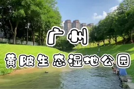 地铁直达玩水、野餐好地方！#旅行推荐官 #亲子游玩好去处 #周末去哪玩 #一起来玩水 #遛娃好去处视频封面