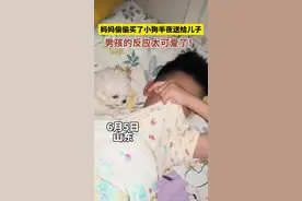 6月5日，山东。太可爱了！妈妈偷偷买了小狗半夜送给儿子。（视频来源@啸啸和艾米）视频封面